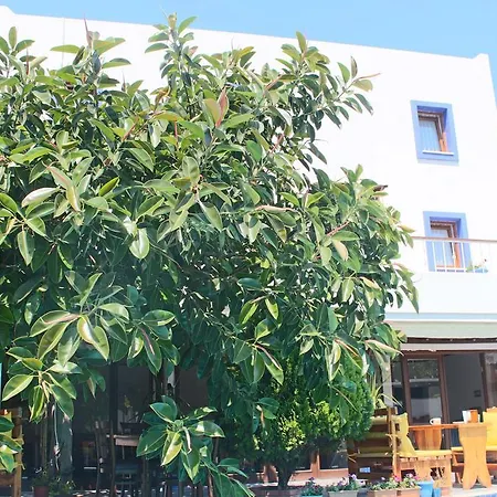 酒店 Oya Butik 博德鲁姆