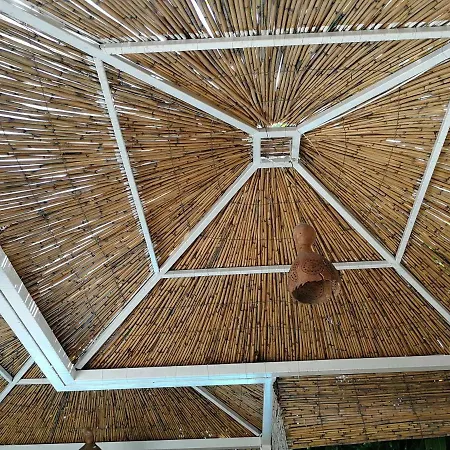 Hotel Oya Butik 3*